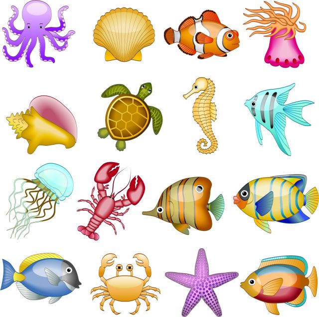 Ei maternal e os animais marinhos